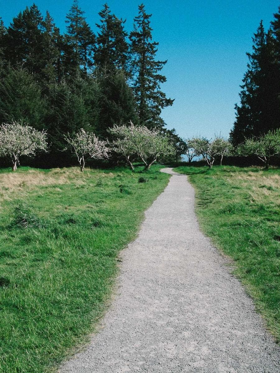 Demo product image — to be replaced with commissioned photography